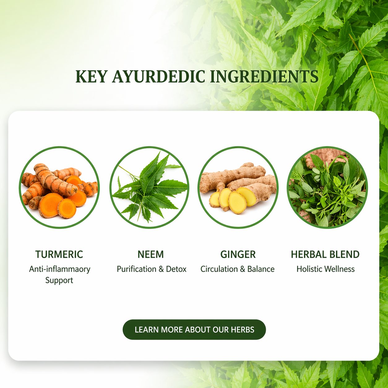 🎁EK K SAATH 1 MUFT LIMITED TIME OFFER🔥 HerbPatch™ Ayurvedic Herbs Sugar Patch (1+1) (2 BOX = 60 PATCHES) - Image 2